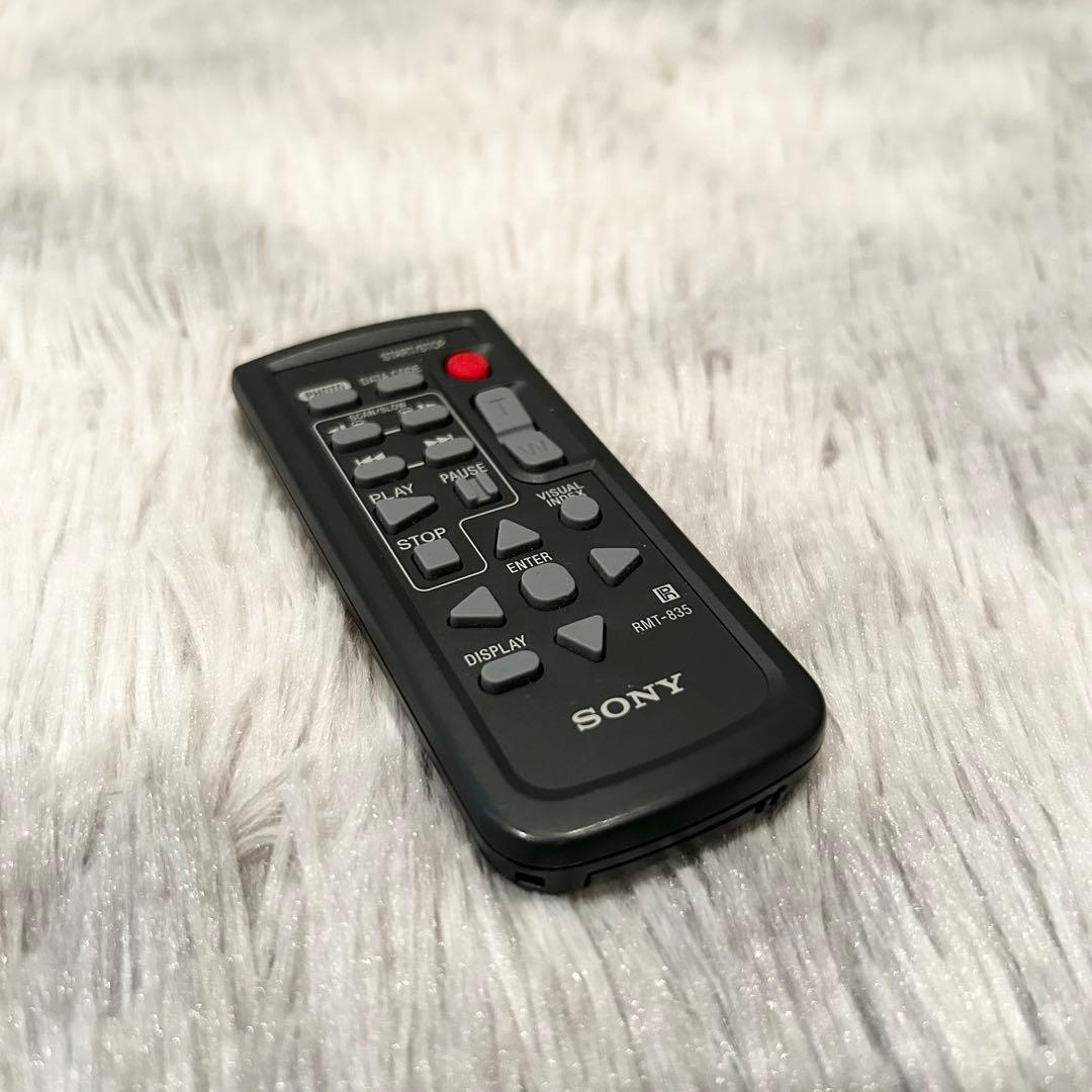 【動作確認済】SONY ソニー Handycam HDR-CX500V