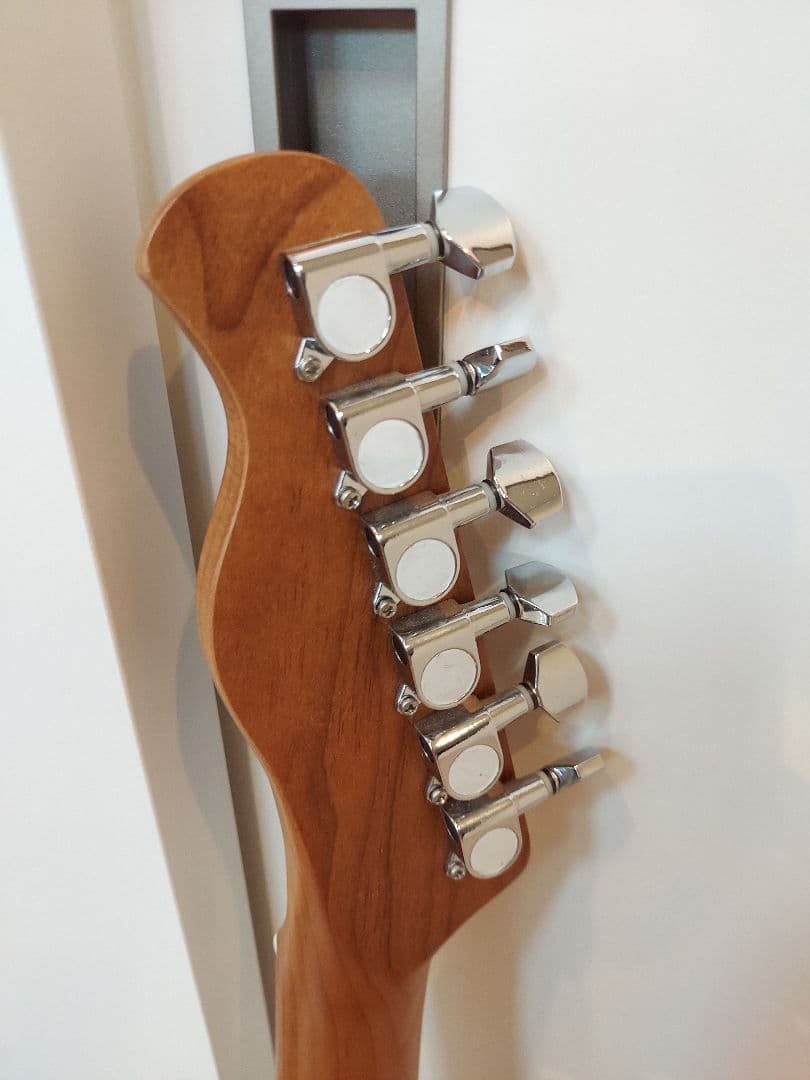 Bacchus　バッカス　エレキギター　テレキャスター サンバースト