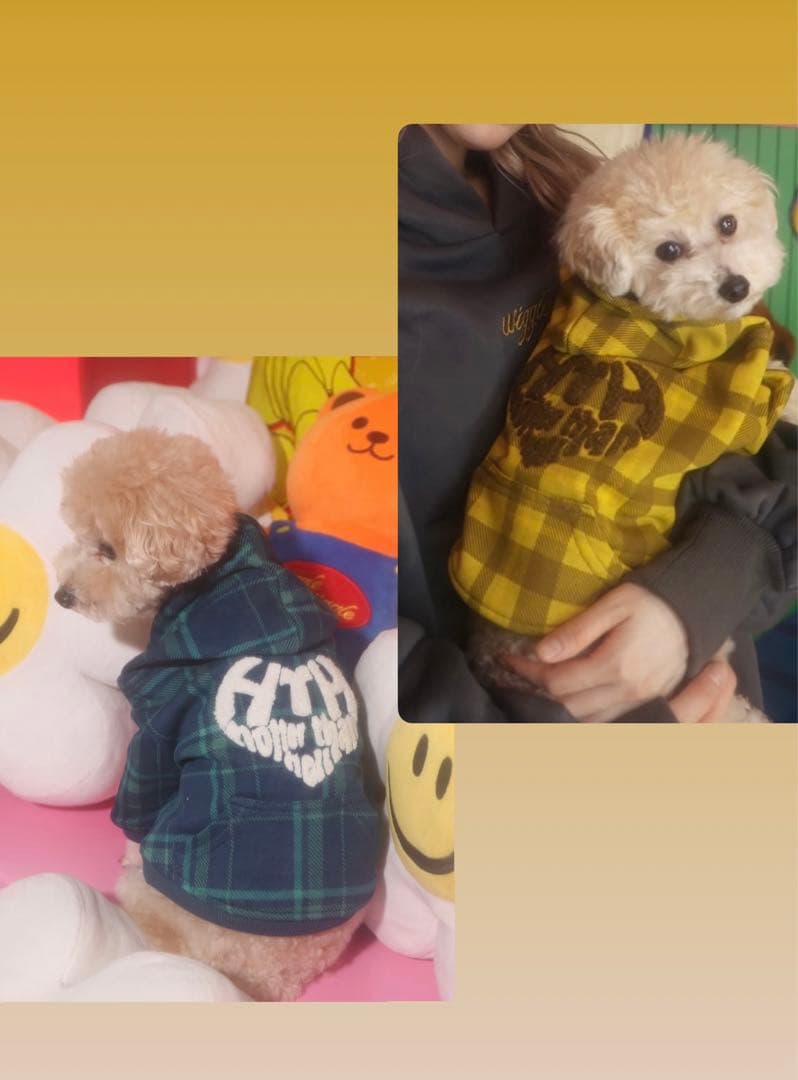 wiggle wiggleとHTHのコラボ 犬用フード付きパーカー　2枚セット