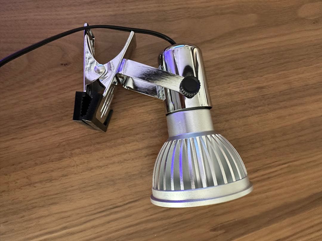 Grassy LeDio RX072e Violet グラッシーレディオ