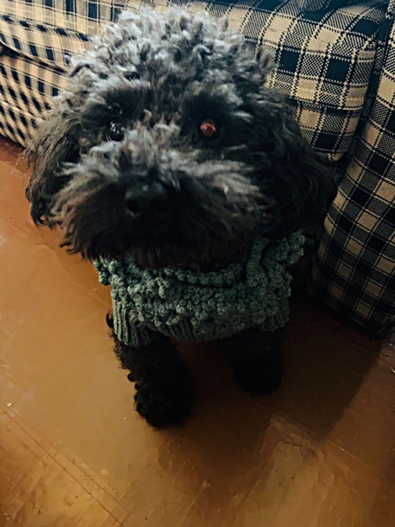 ご確認用です❤