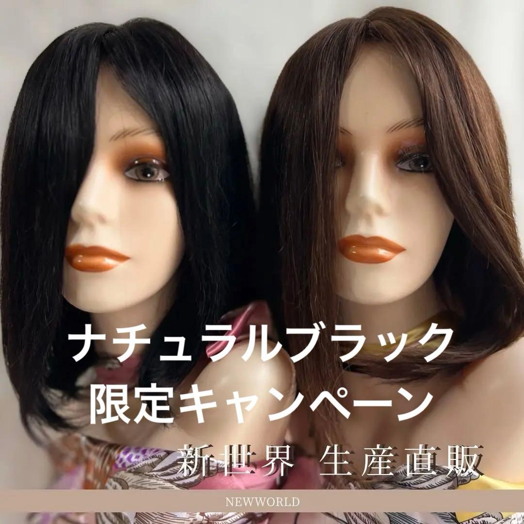 2025新世界　人毛100%　ウィッグ　フルウィッグ　ブラック　医療ウィッグ