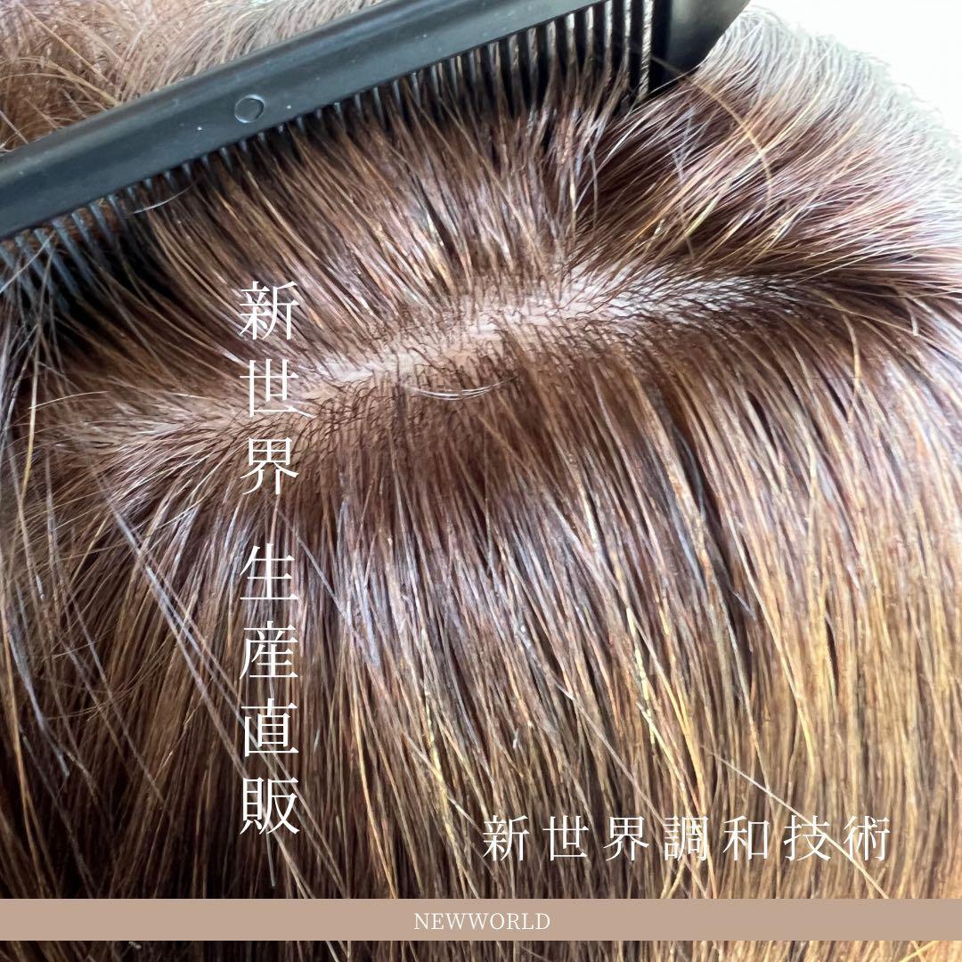 2025新世界　人毛100%　ウィッグ　フルウィッグ　ブラック　医療ウィッグ