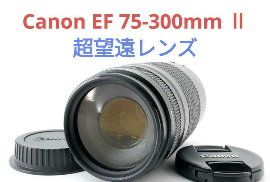 1月11日限定特価♪【超望遠レンズ】Canon EF 75-300mm Ⅱ