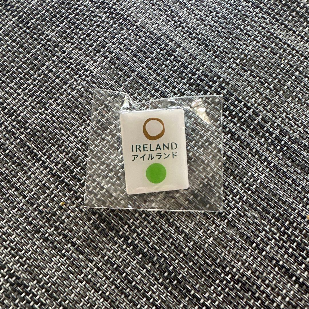 アイルランド館 ピンバッジ アイルランド