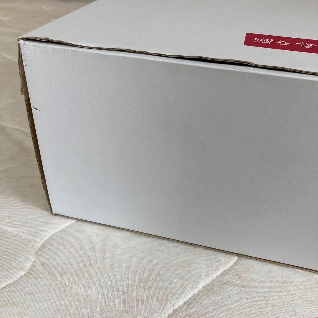 遙かなる時空の中で3 エッグシェル ティーカップ&ソーサー 食器 カップ 陶器