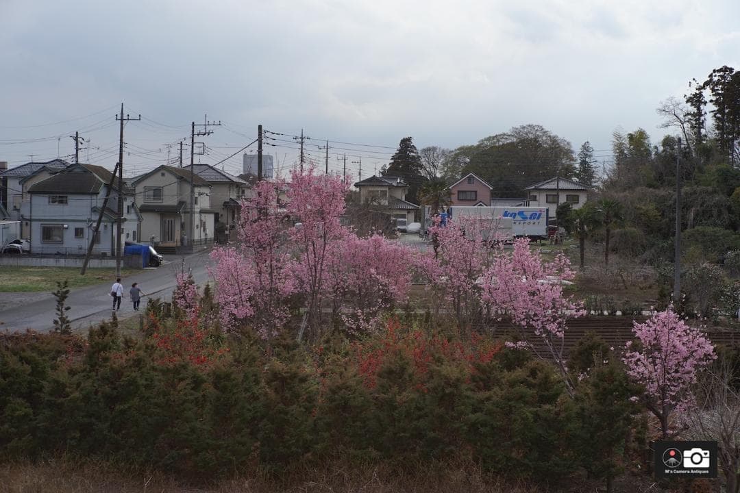 希少 Konishiroku Hexanon 50mm F/1.9 ライカＬ３９
