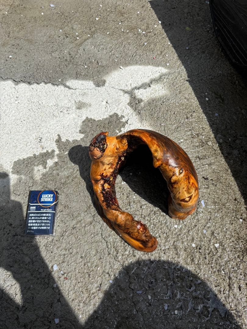 流木　アクアリウム