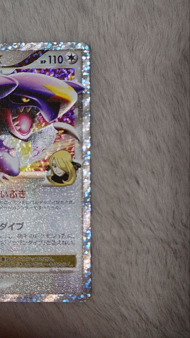 リザードン ガブリアス　25周年