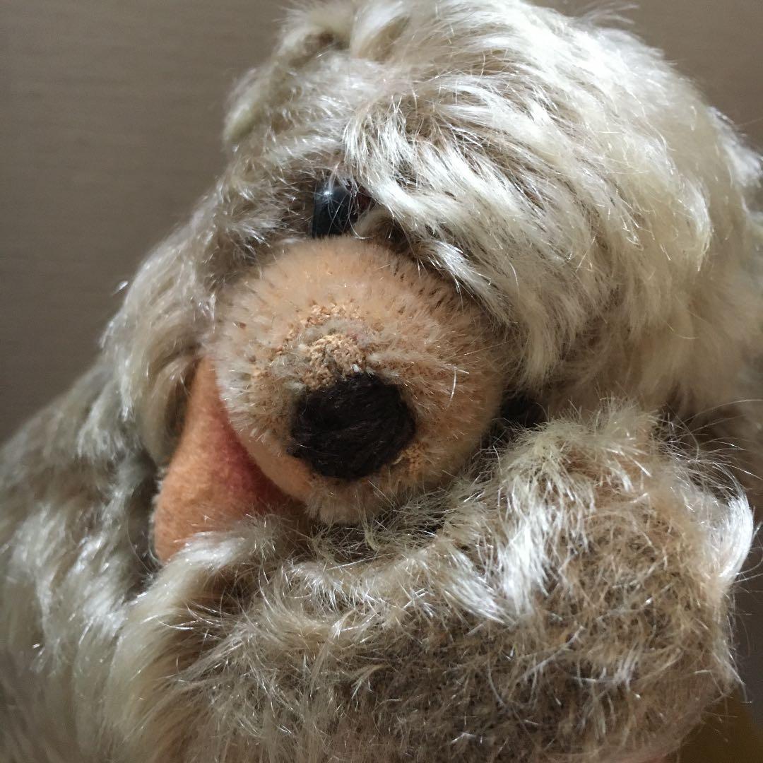 寝転び　ゾッティ