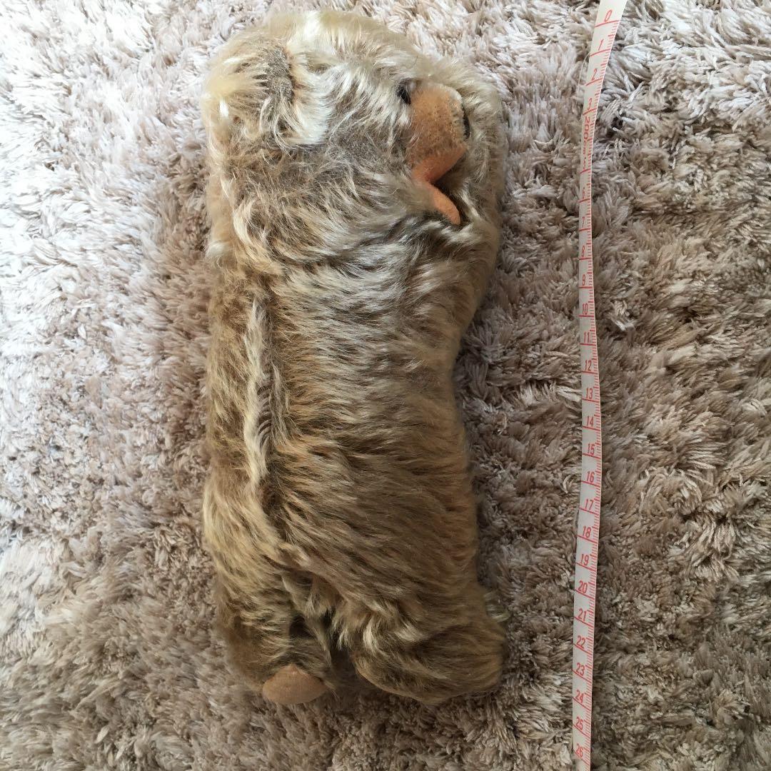 寝転び　ゾッティ