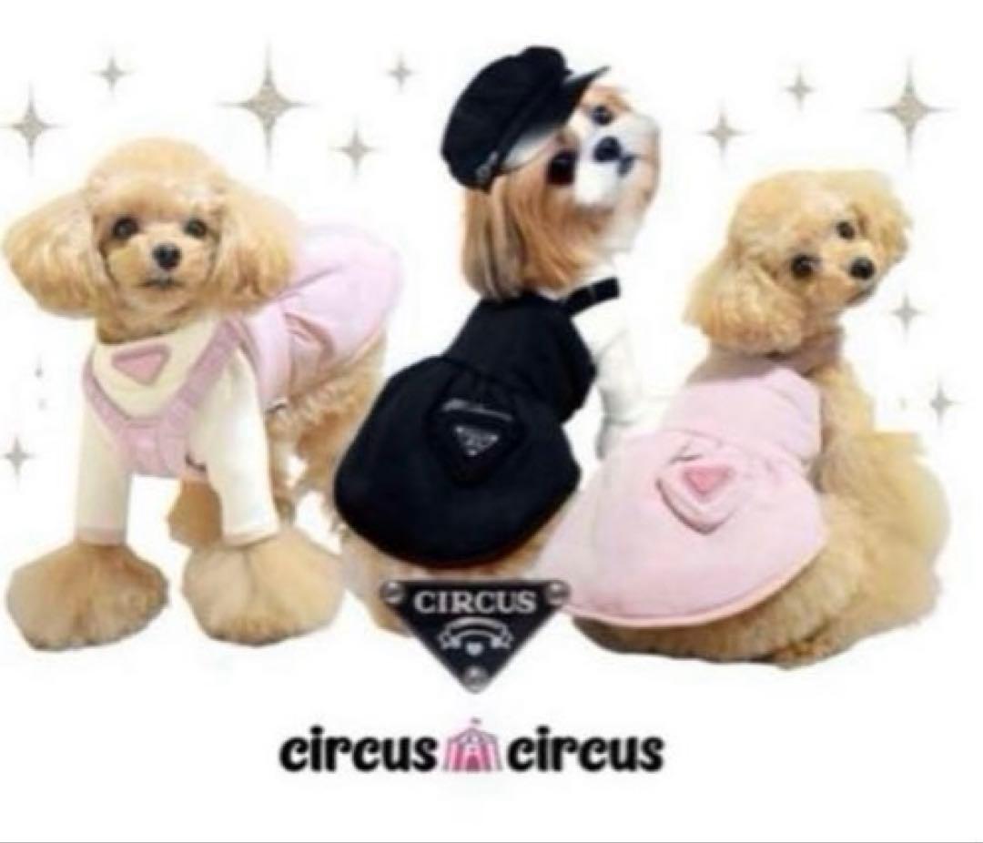 サーカスサーカスChic padding OP ＋Chic T 黒2点セット