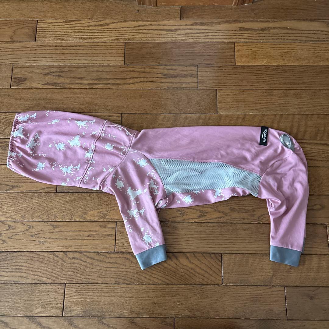 アルファアイコン　ドックガードクール