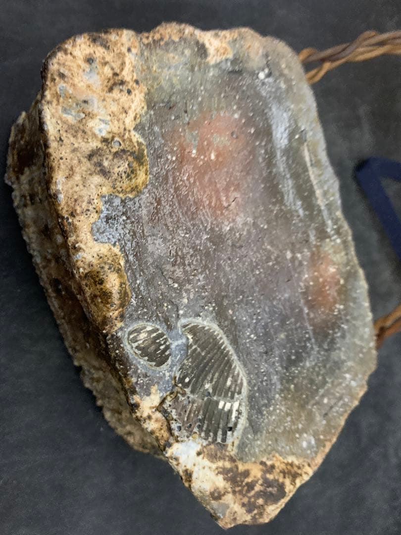 力窯　水垣力　扁壷　花器　花入　土味　栞共箱