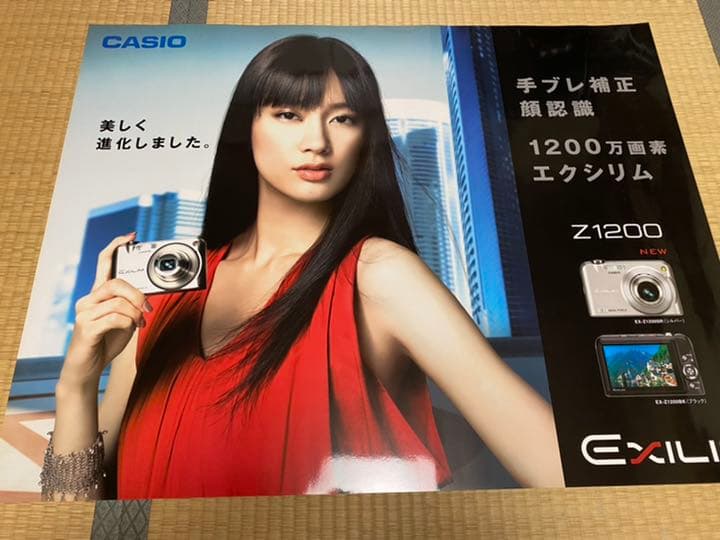 水川あさみ　CASIO EXILIM（エクシリム）ポスター5枚セット