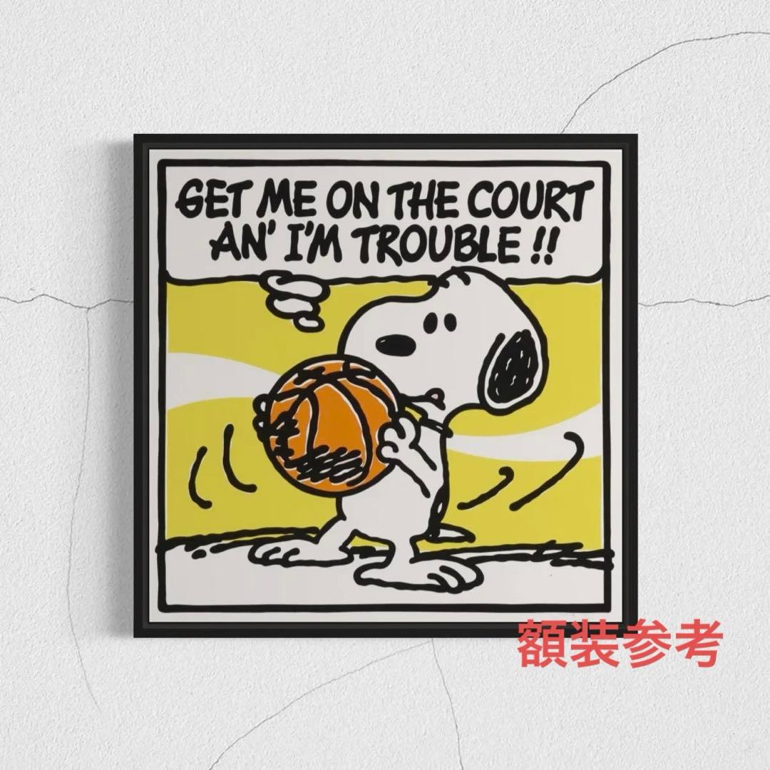 MARK DREW シルクスクリーン KAWS トムエバハート スヌーピー