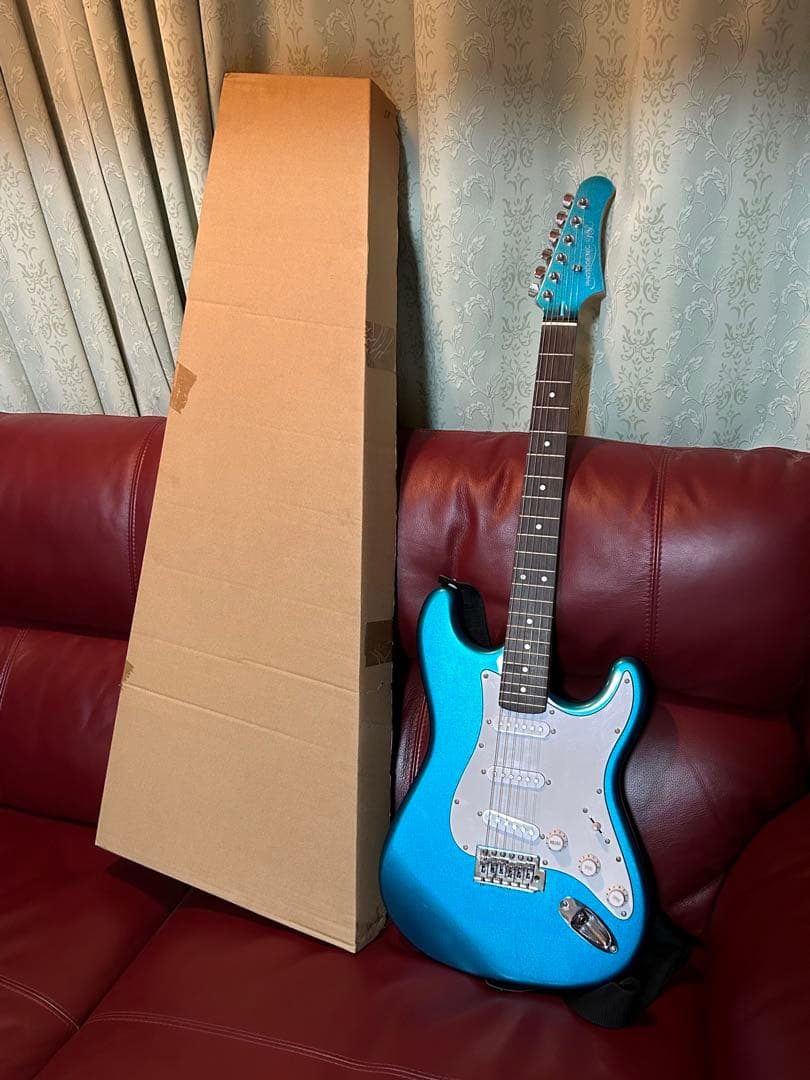 PhotoGenic フォトジェニック　エレキギター