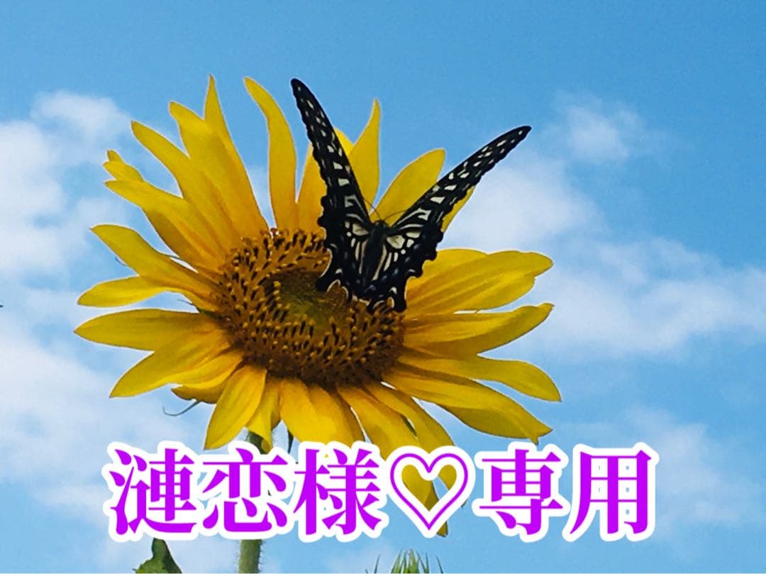 漣恋様❤️おまとめ専用ページです。12/22まで♡