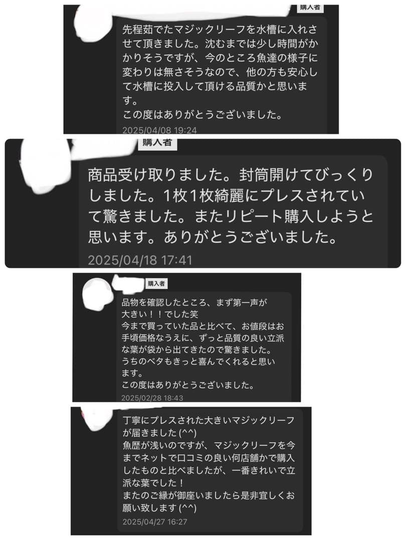 沖縄県やんばる産マジックリーフ 1kg UV殺菌灯照射済み④