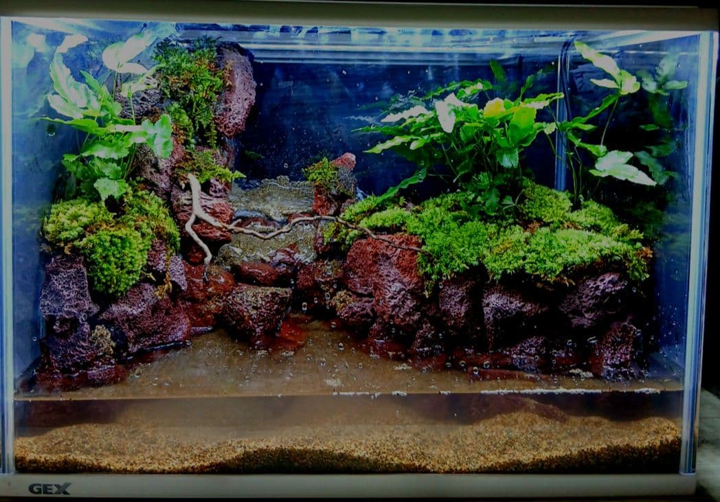 アクアテラリウム 滝 完成品 GEX 赤溶岩石レイアウト