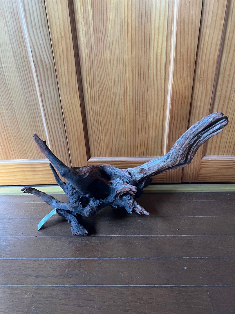 ADA ホーンウッド　HORN WOOD LL