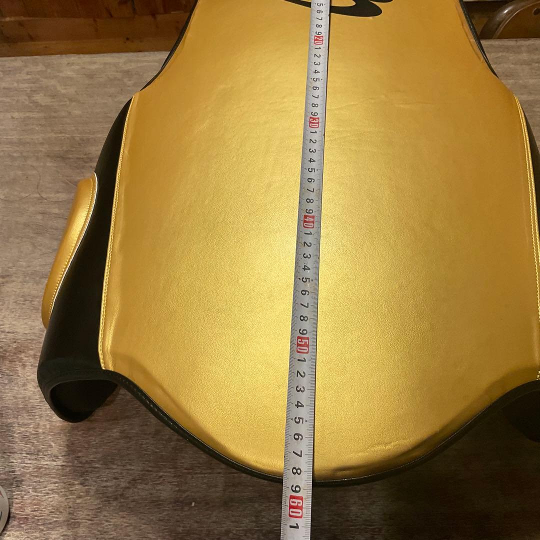 極美品！ボディメーカー プロテクター LIMITED MODEL フリーボディ