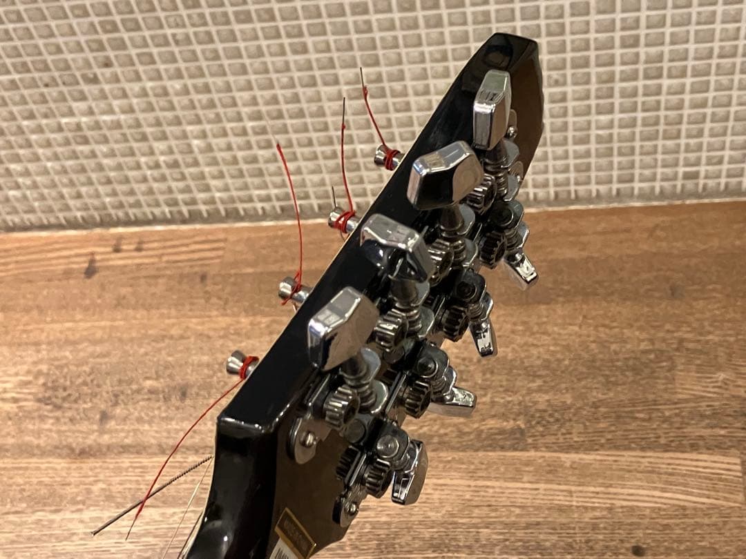 aria エレキマンドリン (Ritter ケース付き)