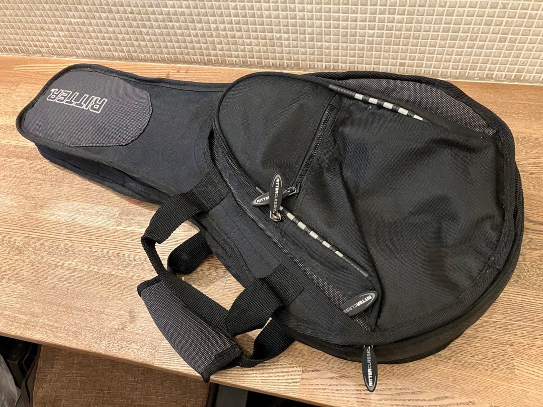 aria エレキマンドリン (Ritter ケース付き)