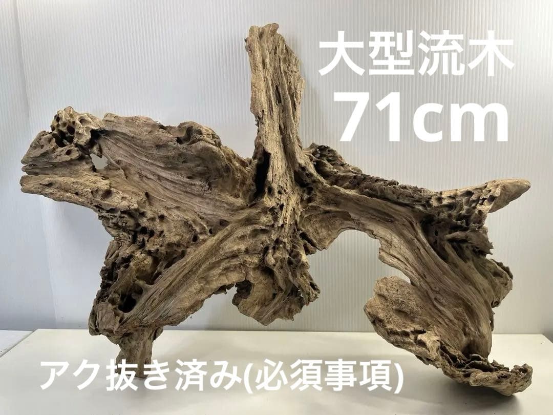 m77大型流木 アク抜き済み 爬虫類シェルター レイアウト用 インテリア 登り木