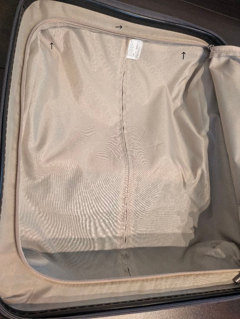 ACE　パリセイドZ　1〜3泊　36リットル　機内持ち込み　キャリーケース