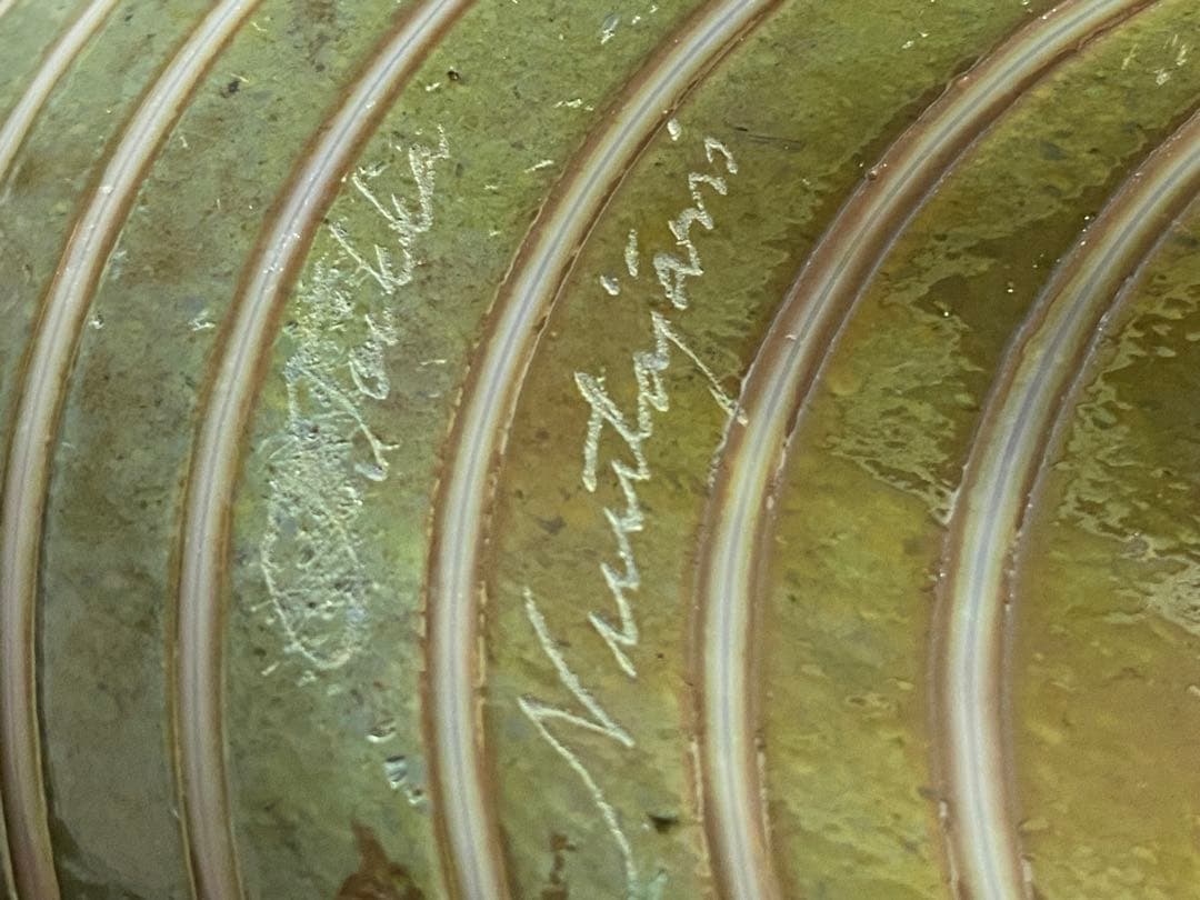 so16Nuutajärvi oiva Long-taled duck 緑