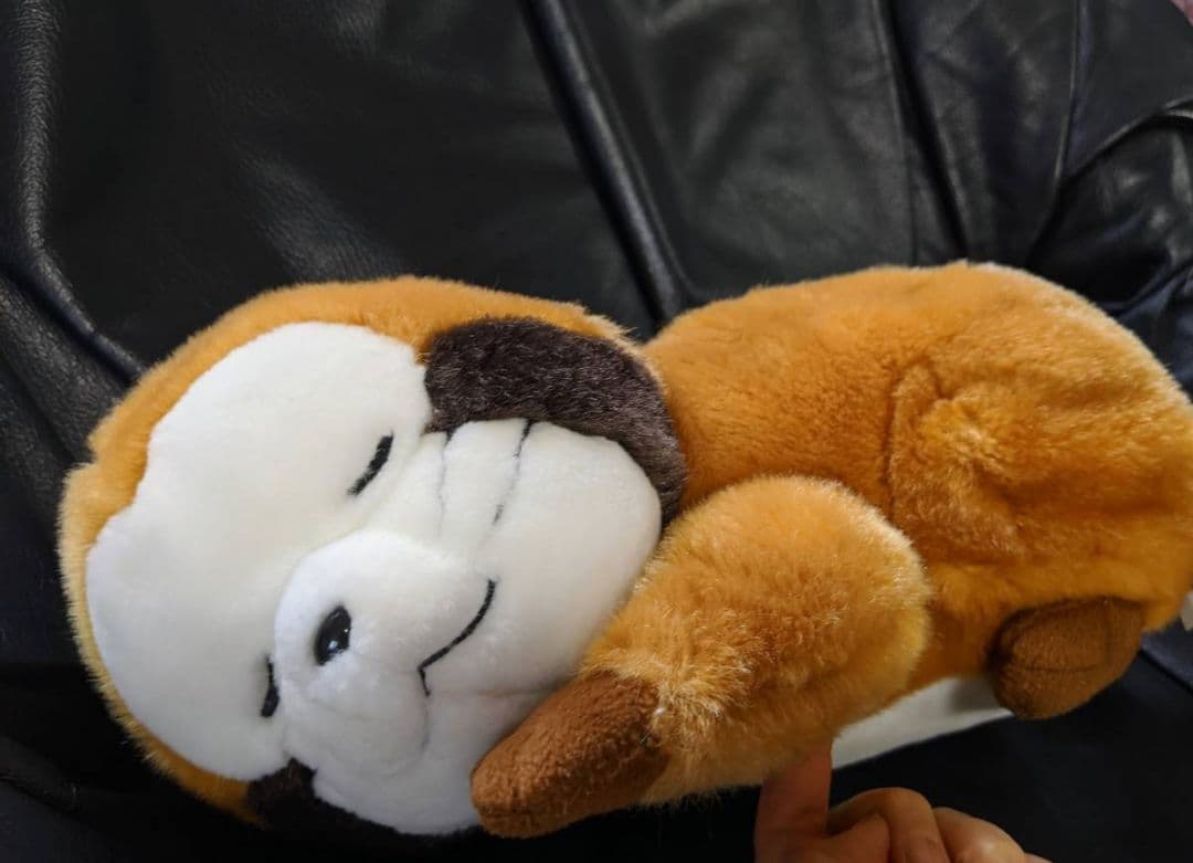 あらいぐまラスカル おやすみラスカル ぬいぐるみ セキグチ製 30周年 記念限定