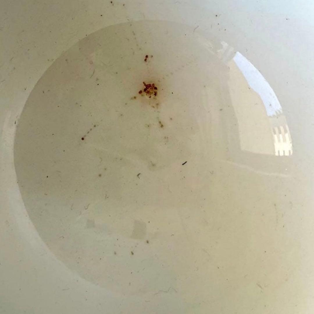 クレイユモントロー 花柄ブイヨンボウル スーピエール　フランスアンティーク