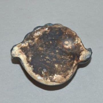 『李朝瑠璃釉菊石形水滴』 李氏朝鮮　アンモナイト形　硯滴　水盂　文房具