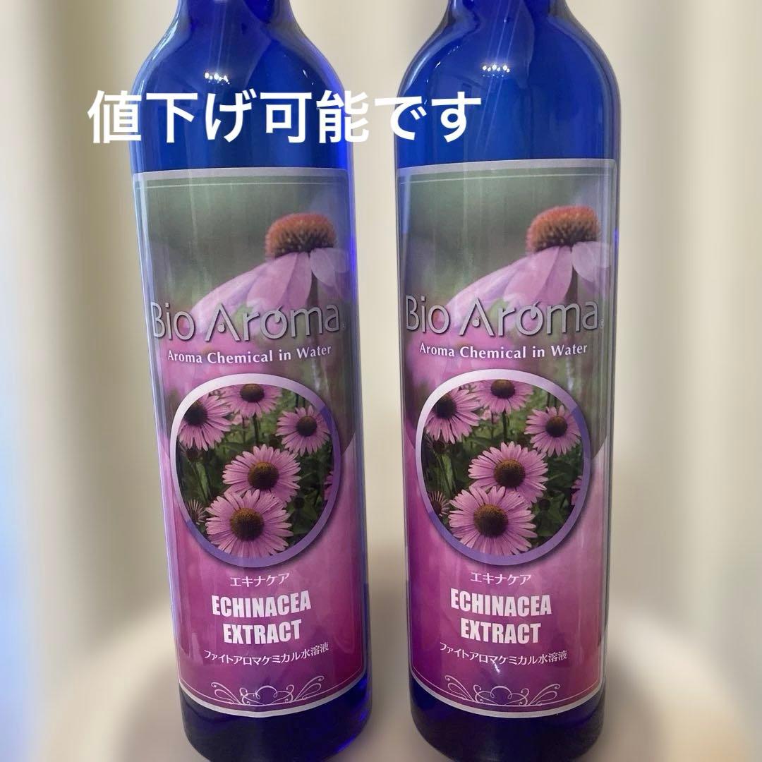 その他 Aya Iinuma