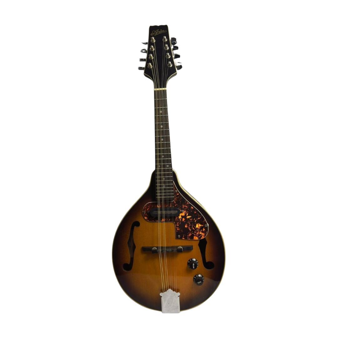 弦楽器 ARIA FlatMandolin AM-200E