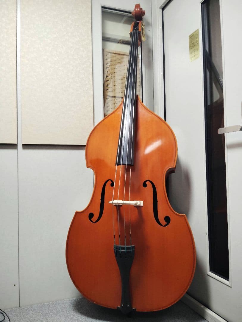 コントラバス ウッドベース スズキ ケース付 表単板 エヴァピラッツィ弦