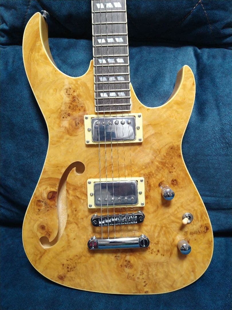 新品 カスタムメイド エレキギター バードアイメープルトップ＆バスウッドボディ