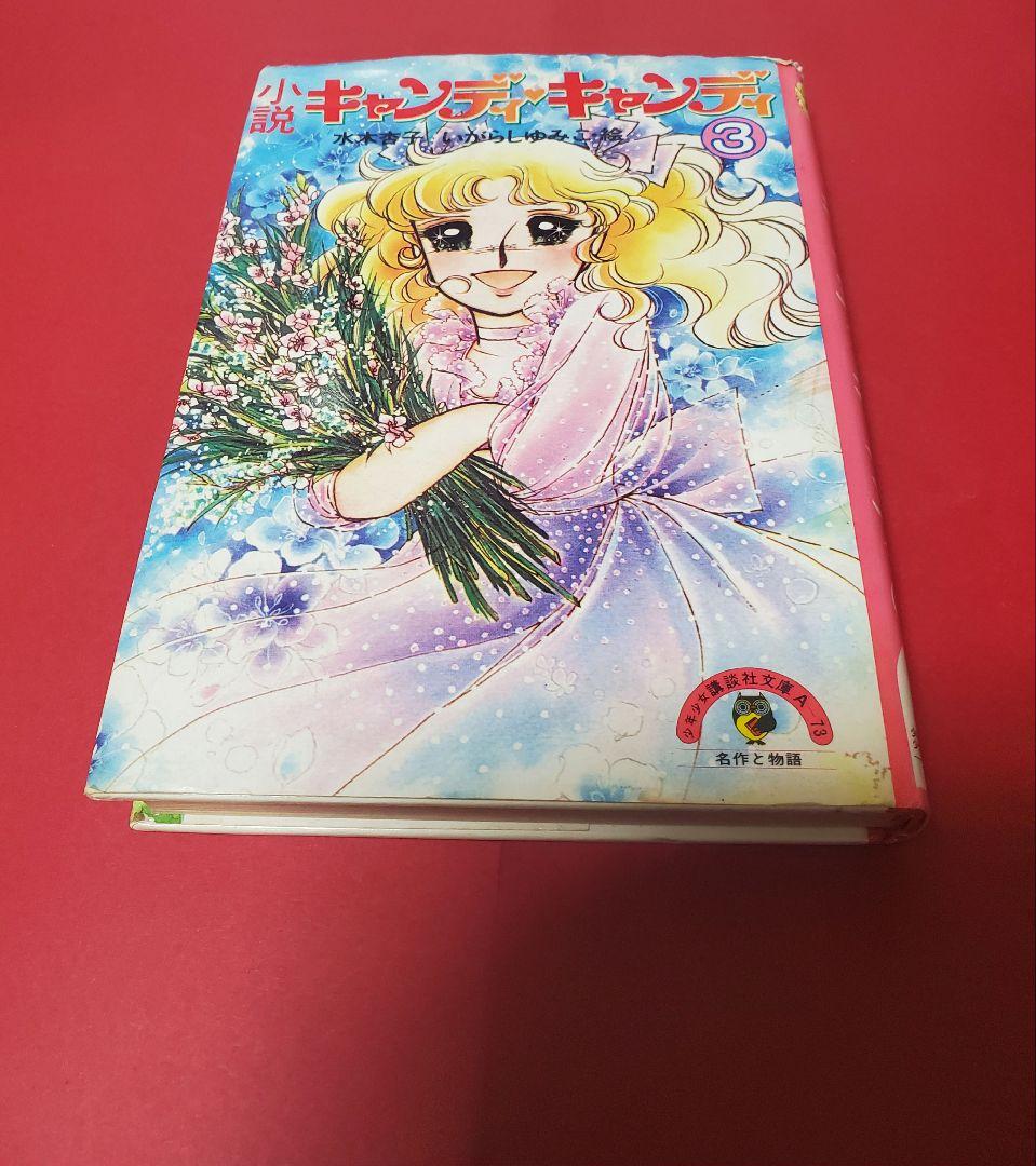 小説　キャンディキャンディ 3巻のみ