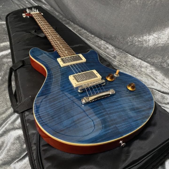 EDWARDS E-PO-100D Seymour Duncan PU搭載