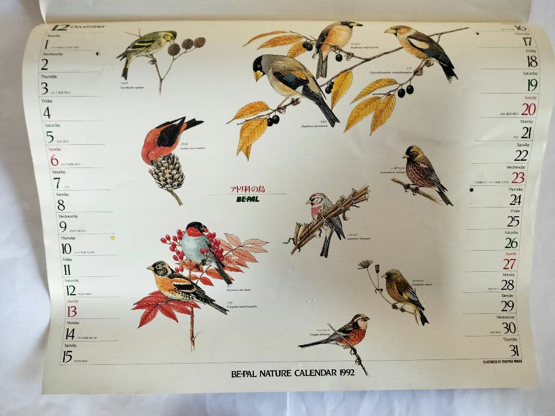 BE-PAL ビーパル カレンダー 新品未使用 1992年 ヴィンテージ