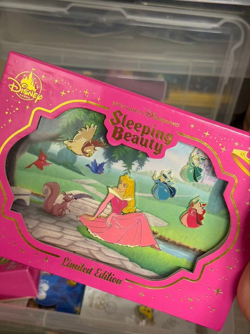 香港ディズニーランド正規品　眠り姫　ピンバッジセット　全てのディズニー限数400