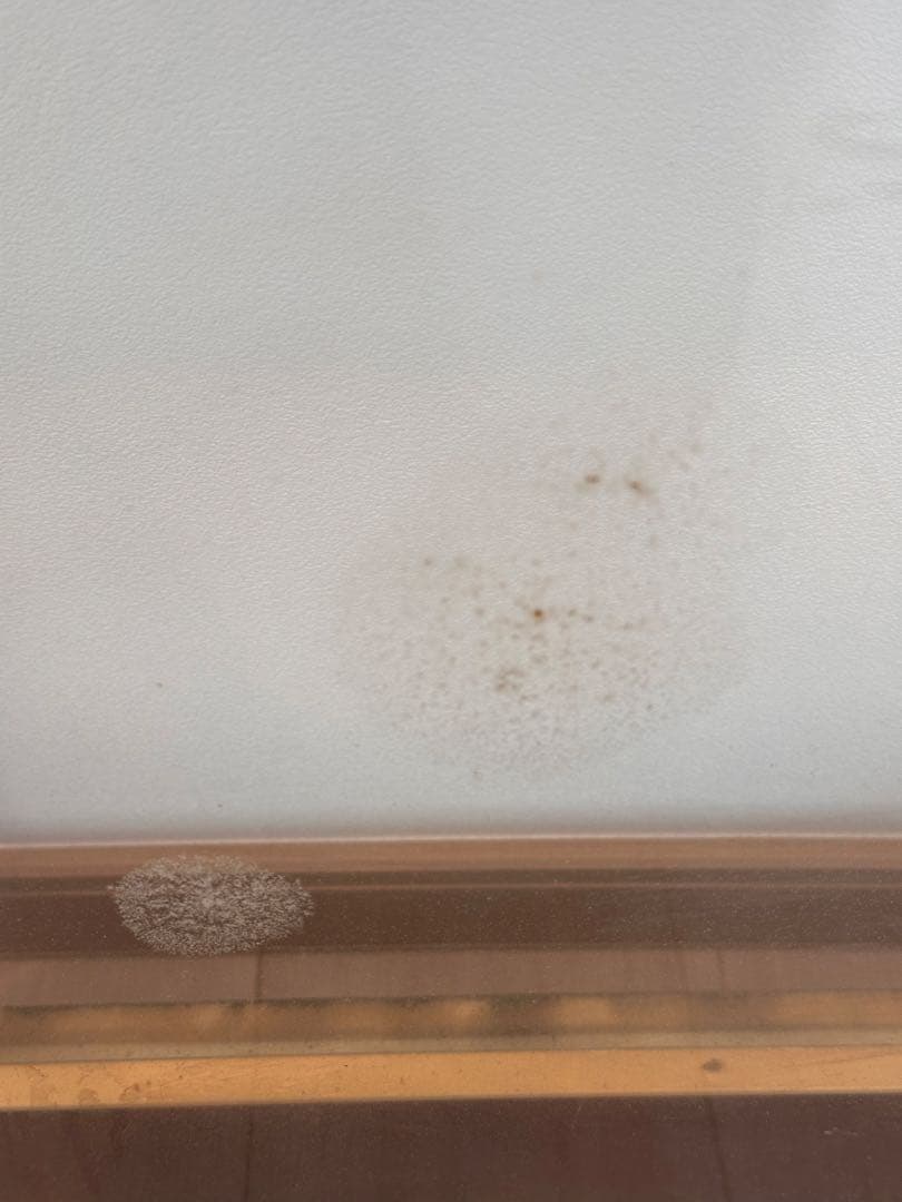 アート 芸術 骨董品 油絵 絵画 壁画 美術品 画家 作品 インテリア レトロ