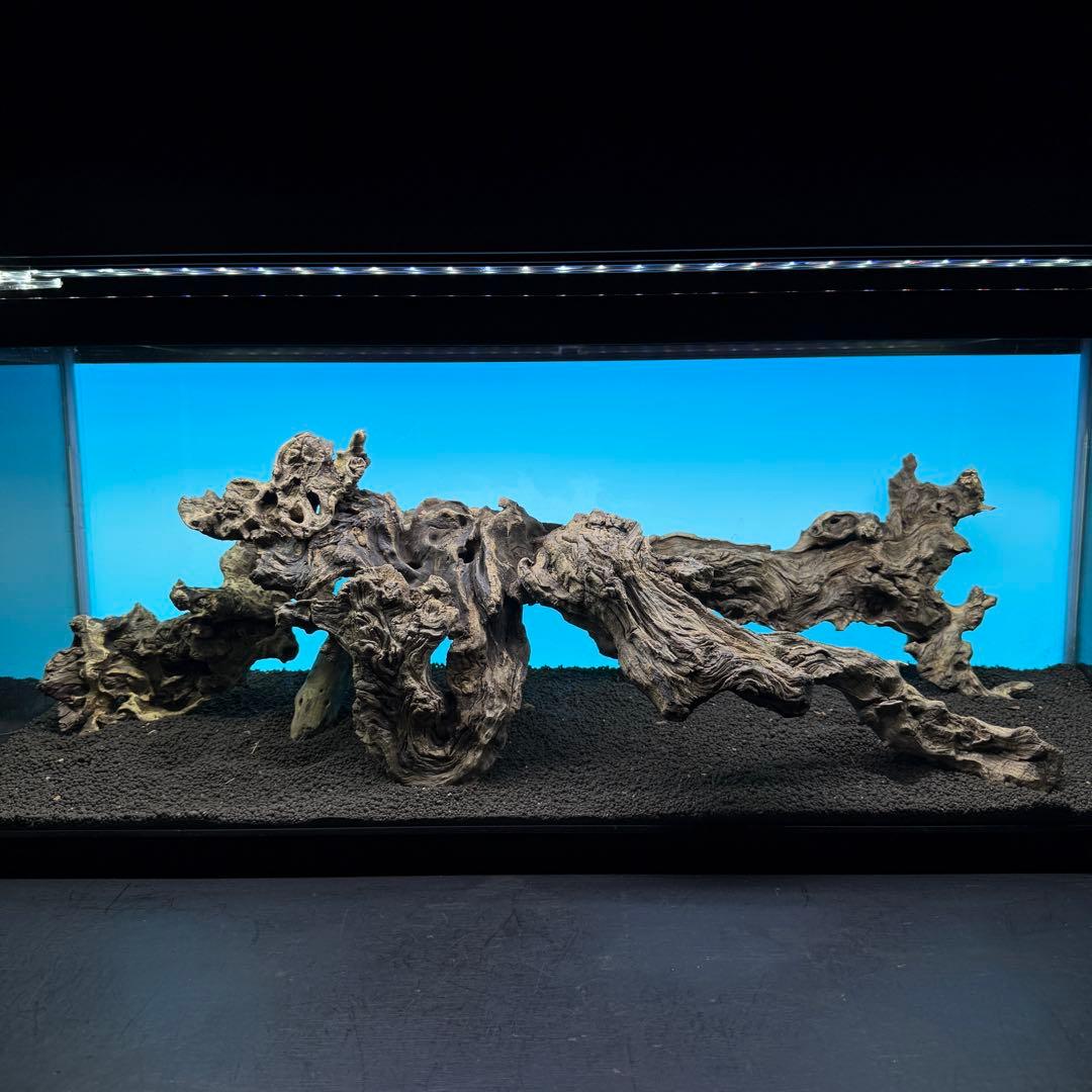 MJW-6812 「特大」ジンジャーウッド　90cm水槽用　天然流木3本セット