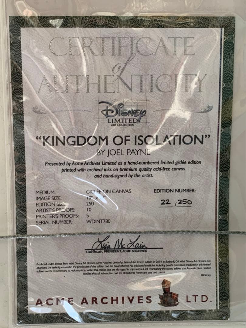 [1811]ディズニーアート　限定ジークレー版画　アナと雪の女王(22／250)