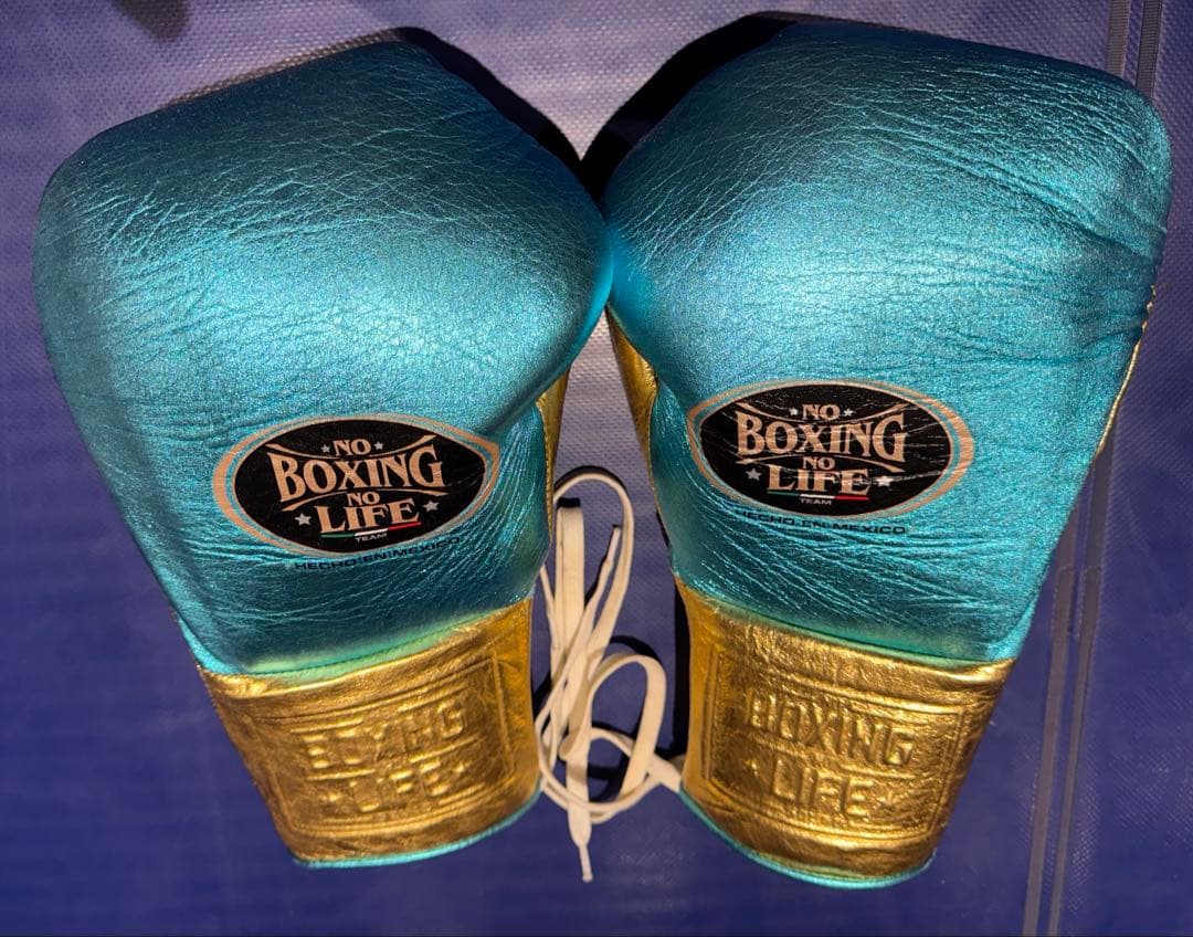 NO BOXING NO LIFE ボクシンググローブ　16oz