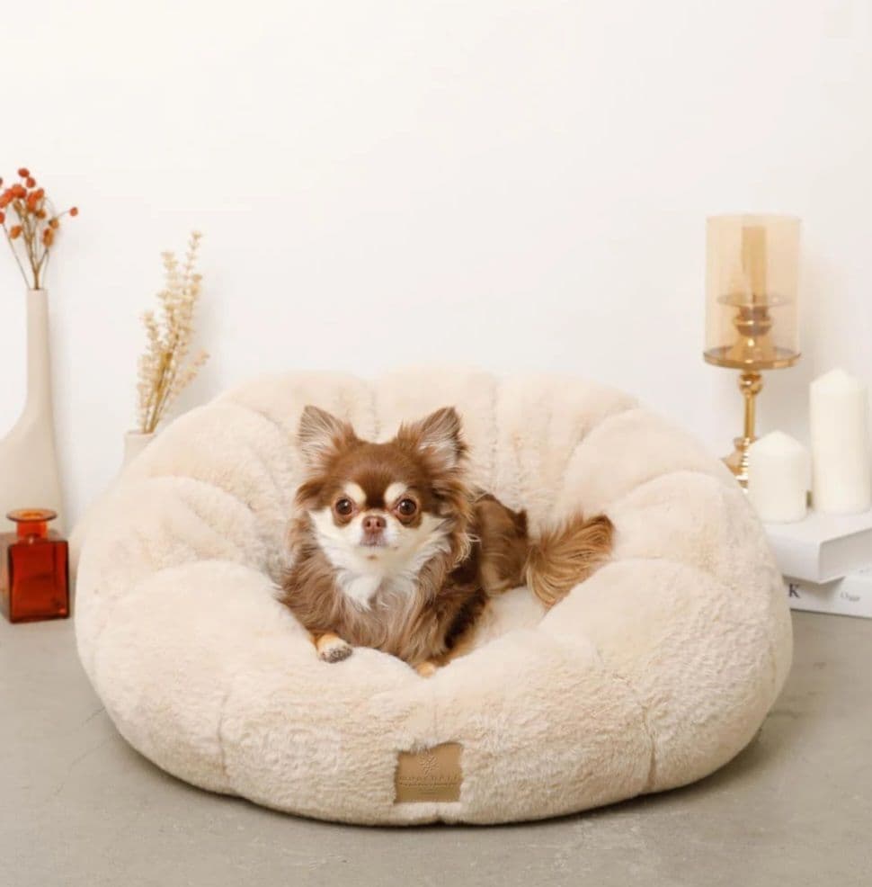 モンシェリMon chéri☆今季新作ベッド13178円