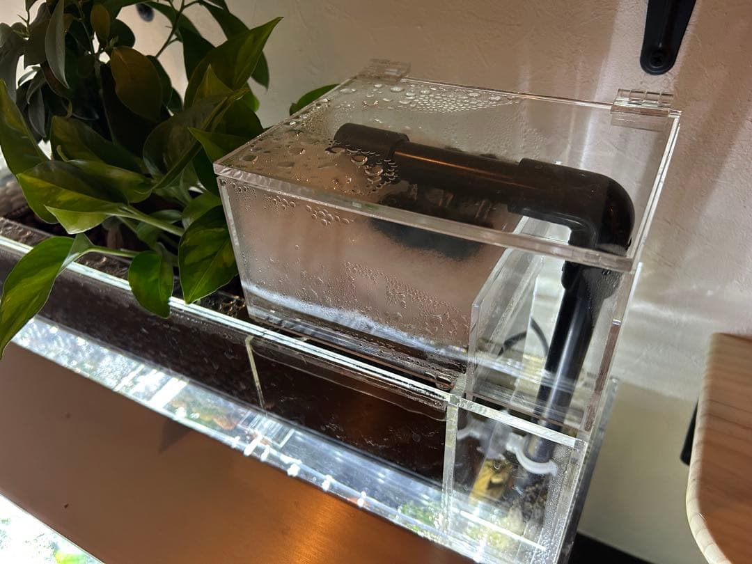 上部濾過式アクアリウム水槽アクアポニックス仕様　60cm幅水槽用