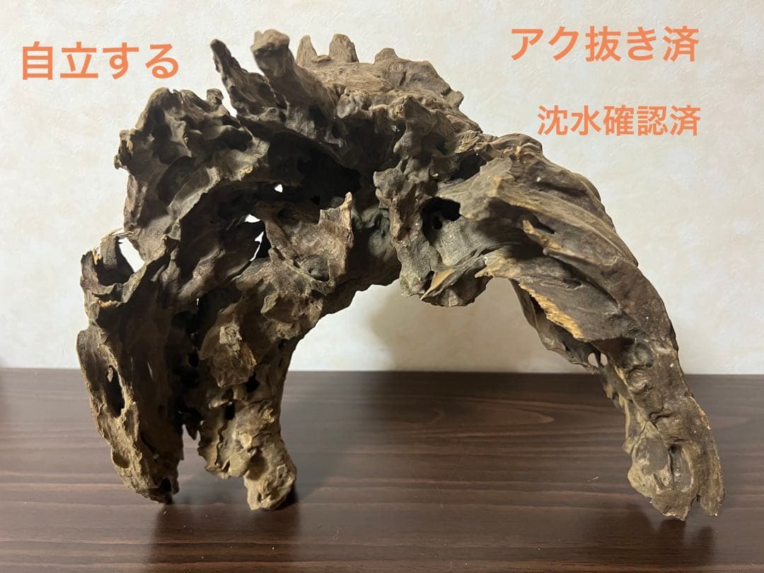 XM-321 流木マシンガンウッド　ブランチウッド　アクアリウム　沈水確認済