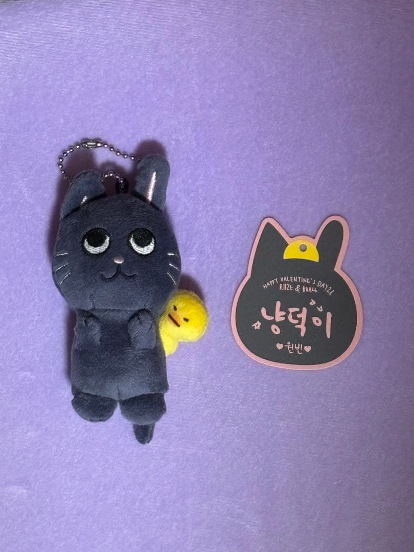 RIIZE ウォンビン WONBIN トニャンドク 10cm キーリング